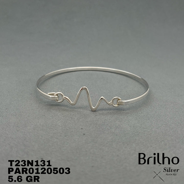 T23N131 ARO CARDIOGRAMA