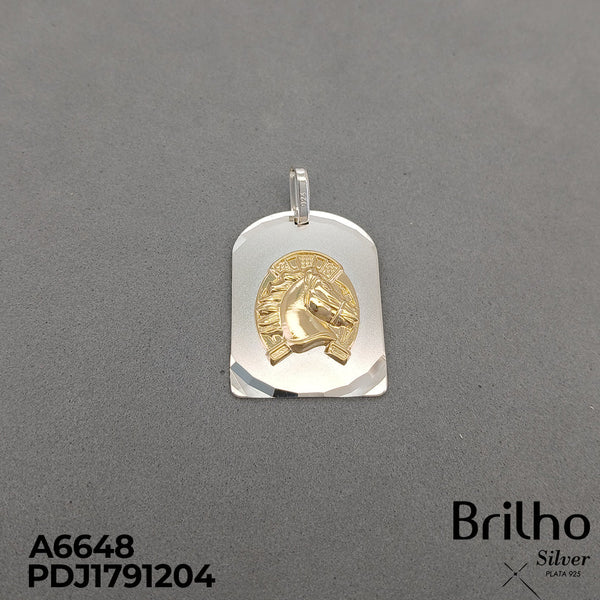 A6648 DIJE PLACA CABALLO Y HERRADURA ORO PLATA