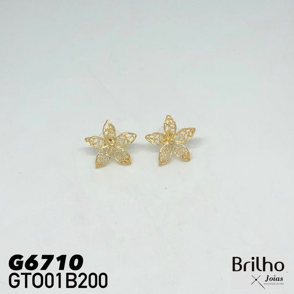 GTO01B200 TOPO