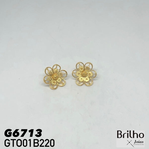 GTO01B220 TOPO