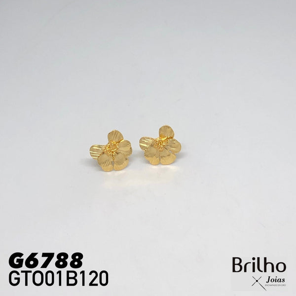 GTO01B120 TOPO