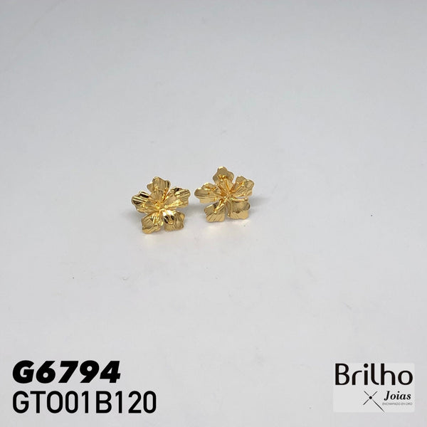 GTO01B120 TOPO