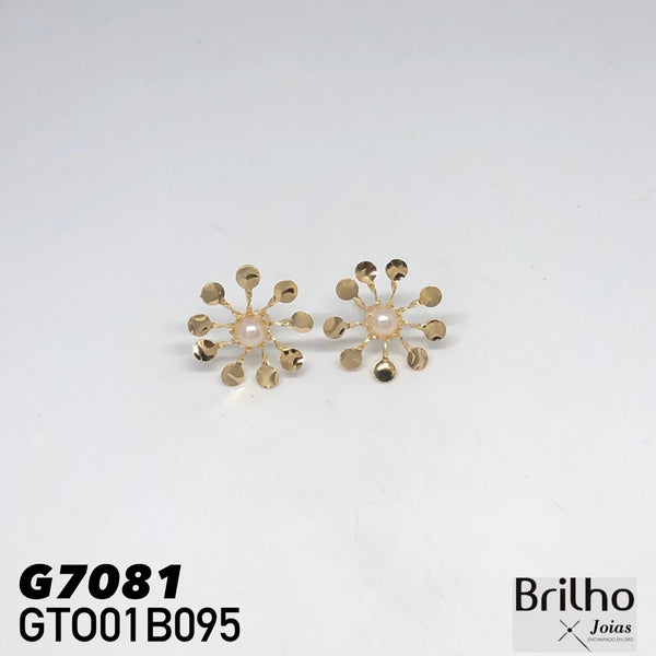 GTO01B095 TOPO