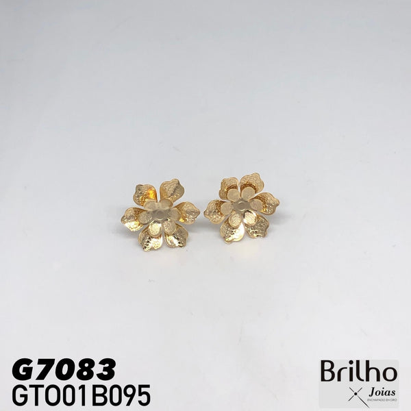 GTO01B095 TOPO