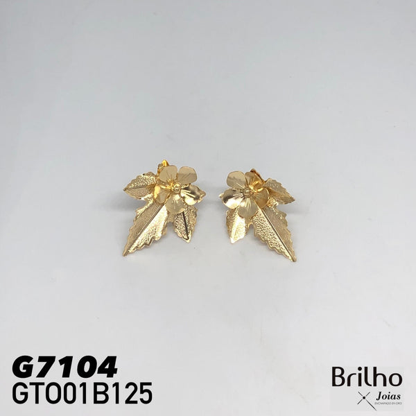 GTO01B125 TOPO
