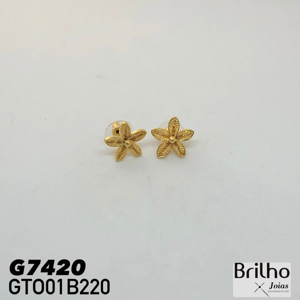 GTO01B220 TOPO